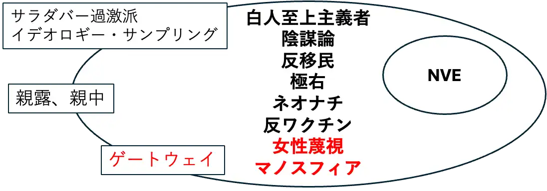 NVE（虚無主義的暴力過激派）と新興政党や周辺的な政治運動の動き